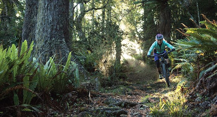 Mountain biking in Christchurch